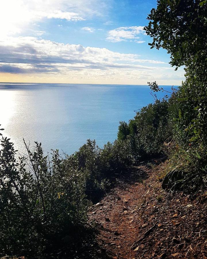 Salvia E Rosmarino - Affittacamere In Liguria Villanova d'Albenga Exteriör bild