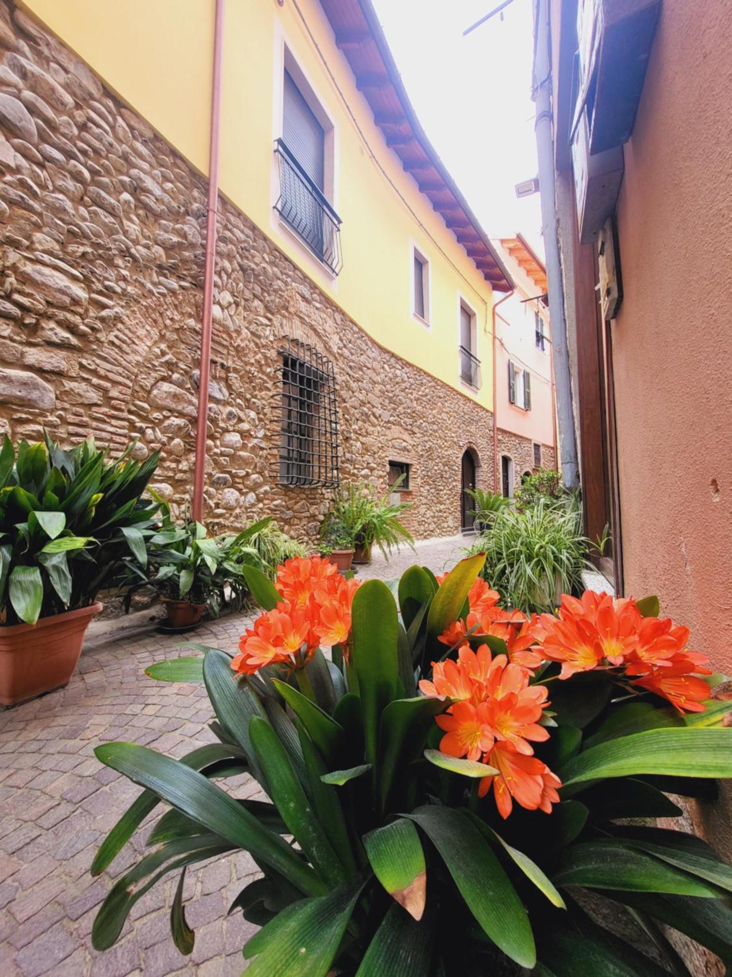 Salvia E Rosmarino - Affittacamere In Liguria Villanova d'Albenga Exteriör bild