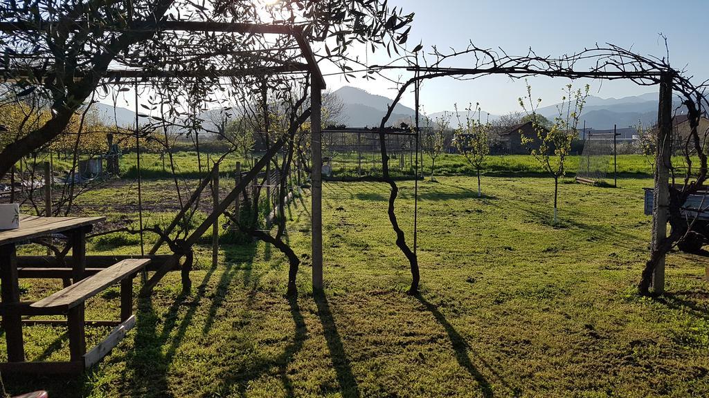 Salvia E Rosmarino - Affittacamere In Liguria Villanova d'Albenga Exteriör bild